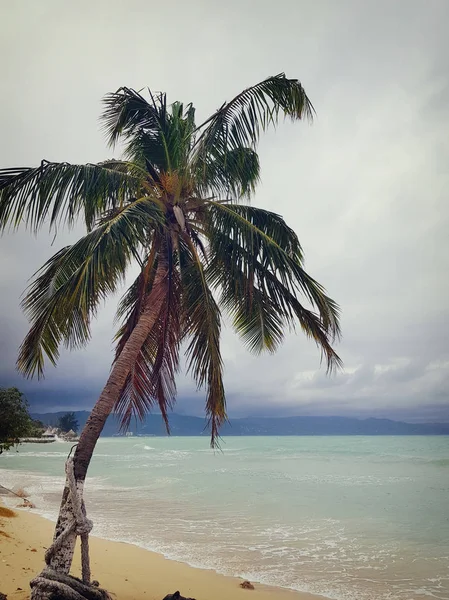 Mar Caribe Playas Palmeras Sol Jamaica Lugares Muy Hermosos — Foto de Stock