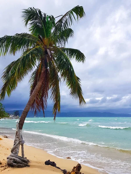 Mar Caribe Playas Palmeras Sol Jamaica Lugares Muy Hermosos — Foto de Stock