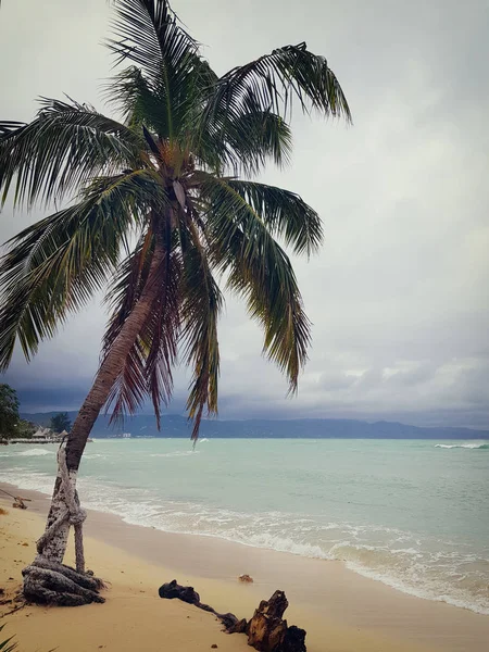 Mar Caribe Playas Palmeras Sol Jamaica Lugares Muy Hermosos — Foto de Stock