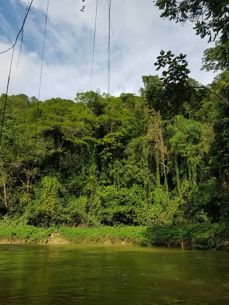 Natureza Incrível Jamaica Floresta Selva Rio — Fotografia de Stock