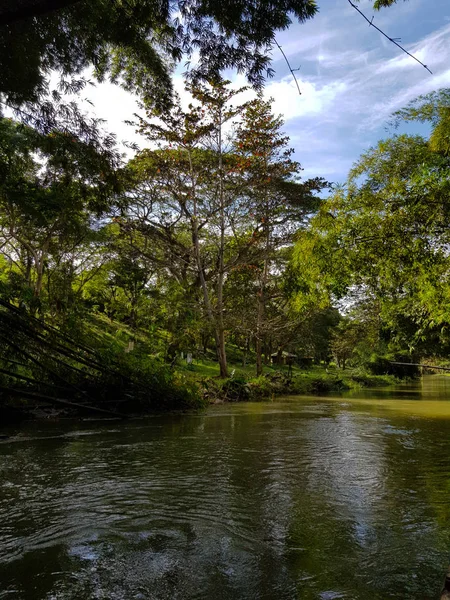 Natureza Incrível Jamaica Floresta Selva Rio — Fotografia de Stock