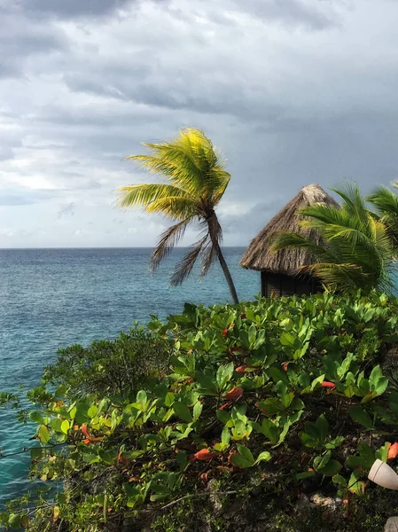 Morze Karaibskie Plaże Palmy Drzewa Słońce Jamajka Bardzo Piękne Miejsca — Zdjęcie stockowe