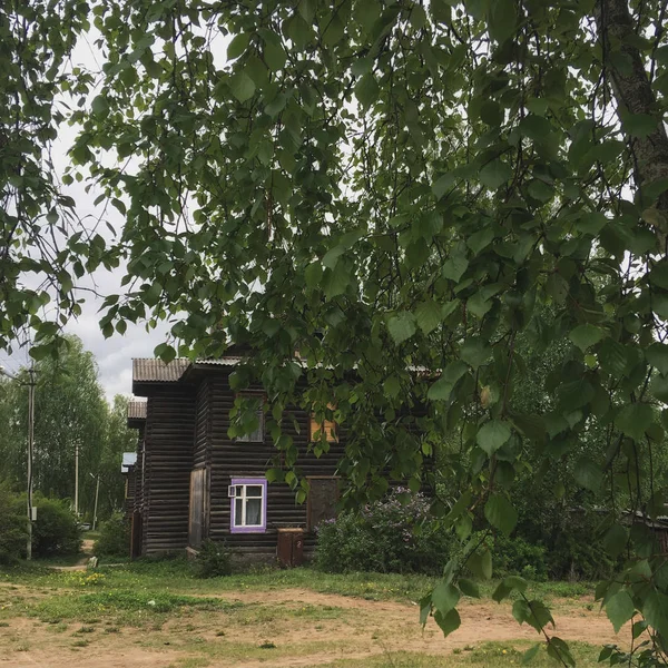 Casas Rurais Estradas Areia Velhos Edifícios Madeira Árvores Verdes Rússia — Fotografia de Stock
