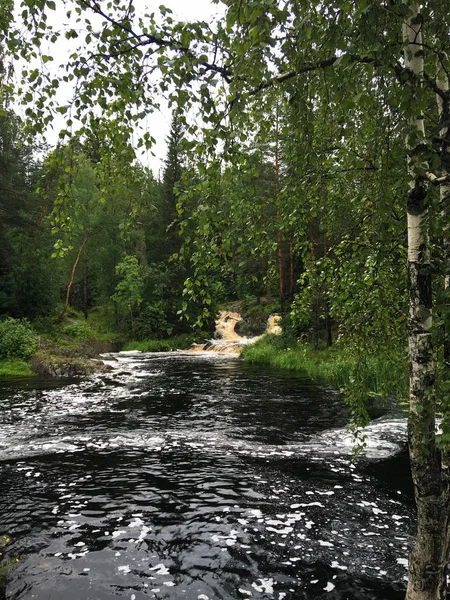 Karelia Nehirler Göller Küçük Şelaleler Pitoresk Ormanlar Karelia Yaz — Stok fotoğraf