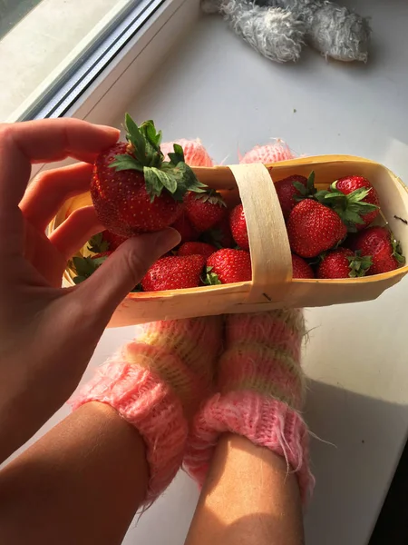 Ноги Рожевих Шкарпетках Кошик Полуницею — стокове фото