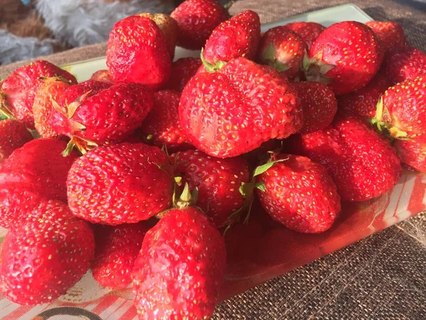 Fragola Matura Rossa Piatto — Foto Stock