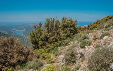 Dağ manzaralı deniz ve göl