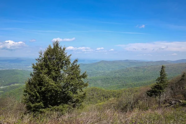 Sonsuz dağ manzarası. Tennesse 'nin güzel doğası. Usa.