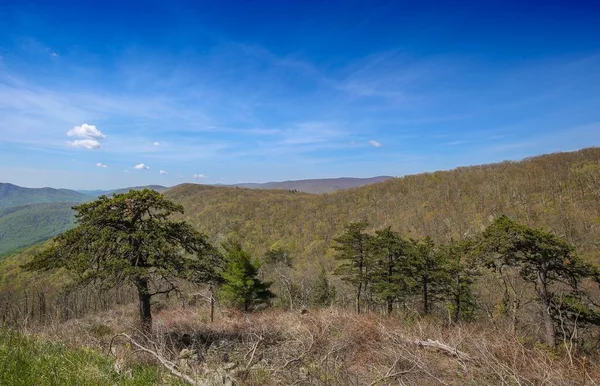 Endless View Mountains Beautiful Nature Tennesse Usa — Stock Photo, Image