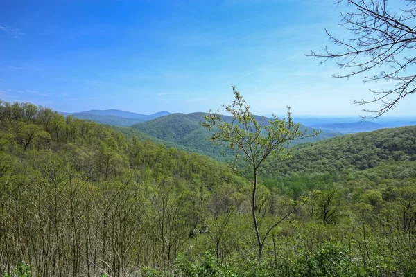 Endless View Mountains Beautiful Nature Tennesse Usa — Stock Photo, Image