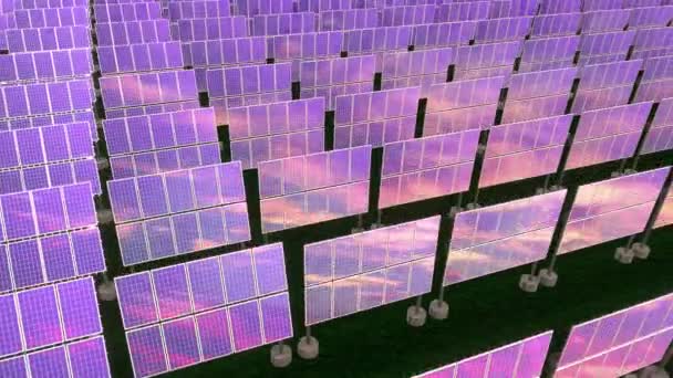 Pannelli Solari Concetto Energia Rinnovabile Animazione — Video Stock