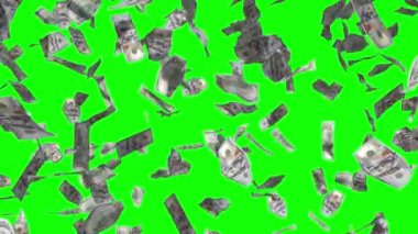 3D 4k düşüşü 100 dolarlık animasyon, yağmur etkisi - finansal başarı, piyango kazanmak, zengin olmak, hazine gibi konular için harika. Yeşil arkaplanda izole edilmiş (yeşil ekran amaçları).