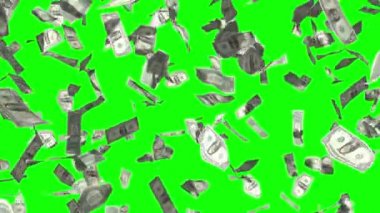 3D 4k düşüş 1 dolarlık animasyon, yağmur etkisi - finansal başarı, piyango kazanmak, zengin olmak, hazine gibi konular için harika. Yeşil arkaplanda izole edilmiş (yeşil ekran amaçları).