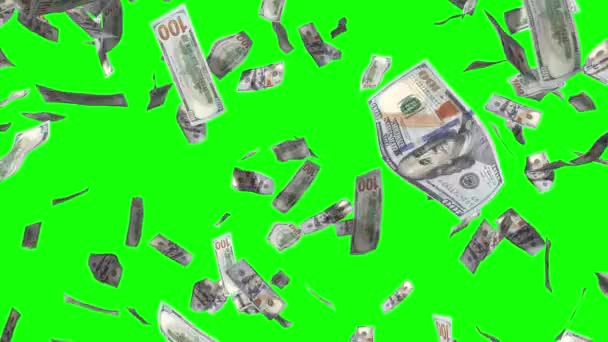 Falling 100 Dollar Bills Animation Rain Effect Great Topics Financial — ストック動画