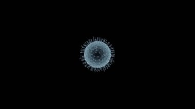 Rotating coronavirus/ covid-19 virus molecule - isolated on black background - 3D 4k animation