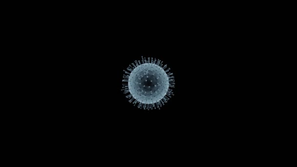 Coronavirus Rotatorio Molécula Virus Covid Aislado Sobre Fondo Negro Animación — Vídeo de stock