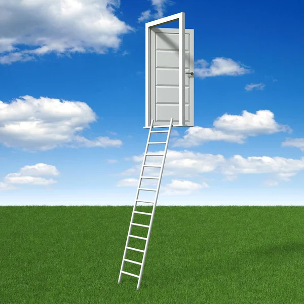 Deur Ladder Concept Illustratie — Stockfoto