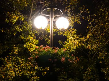 Street lighting in a night pair.