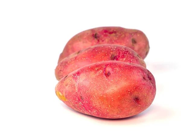 Harvest potatoes on a white background with place for text. — Stock Photo, Image