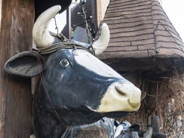 Yazmak için yeri olan çiftlik hayvanı ineğinin başı..