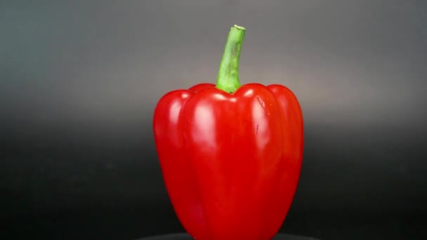 Red Pepper Spins Black Background Food Video — Stock Video