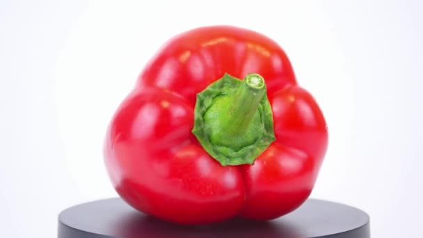 Roter Pfeffer Auf Weißem Hintergrund Rotation Video Essen Gemüse — Stockvideo