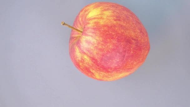 赤いリンゴが皿の上で回転する 食べ物だビデオ — ストック動画