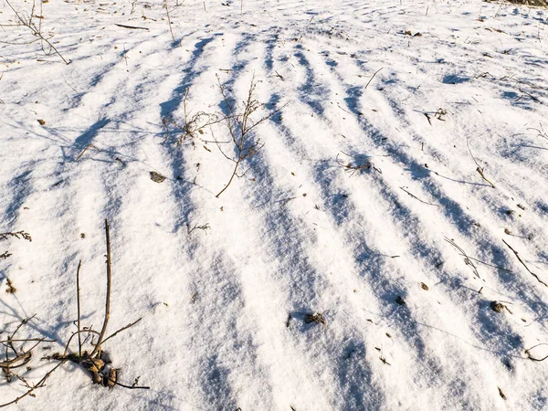 Сельскохозяйственное поле под снегом зимой . — стоковое фото