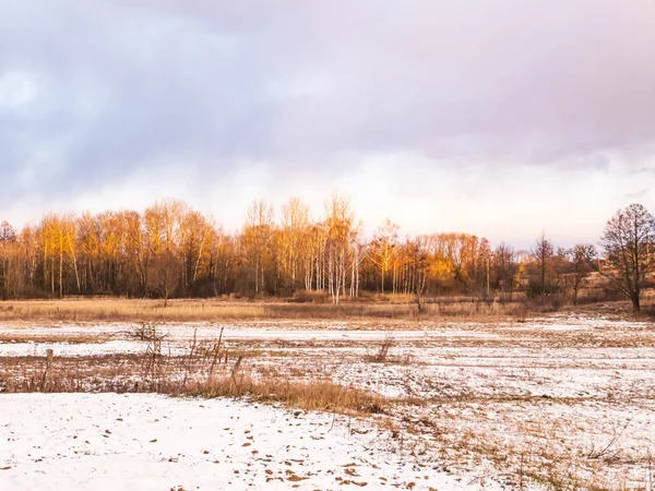 Pradera bajo la nieve con un bosque en el horizonte en invierno . —  Fotos de Stock