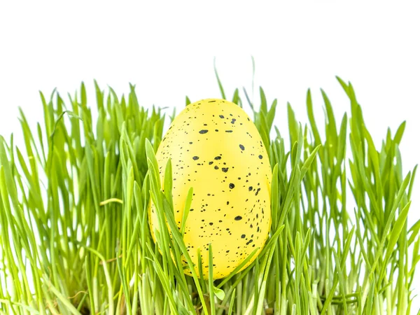 Barevné Velikonoční Vejce Zelené Trávě Bílém Pozadí Velikonoce Náboženství Kultura — Stock fotografie