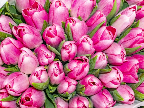 Festlicher Blumenstrauß Aus Rosa Tulpen Zum Muttertag Muttertag Valentinstag Geburtstag — Stockfoto