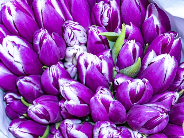 Bouquet Festif Fleurs Tulipes Lilas Blanches Pour Fête Des Mères — Photo