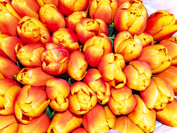 Bouquet Fleurs Tulipes Rouges Jaunes Pour Fête Des Mères Fête — Photo