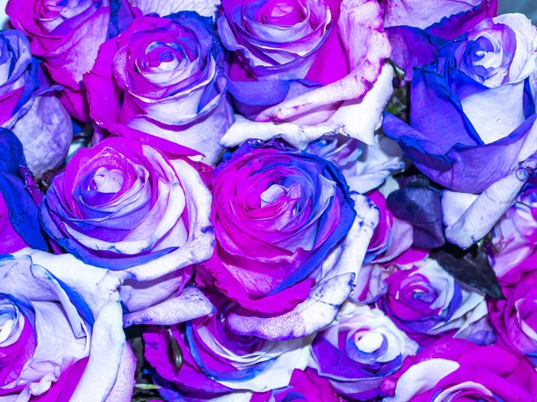 青と紫のバラの庭の花のお祭りの花束 母の日 誕生日だ ブライダルブーケ 追悼の日 国際女性デー テキスト用の場所 背景画像 — ストック写真