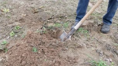 Bir kürekle yere bir çukur kaz..