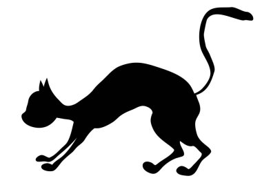 Black cat pet on a white background.
