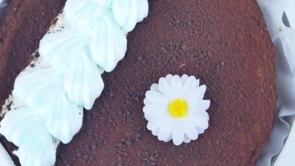 Bolo Chocolate Com Flores Creme Branco Dia Das Mães Aniversário — Vídeo de Stock