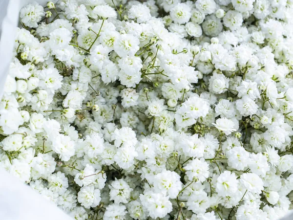 Festlicher Brautstrauß Bei Einer Hochzeit Aus Weißen Blumen Geburtstag Muttertag — Stockfoto