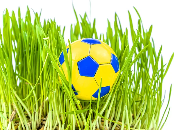 Футбольный Мяч Зеленой Траве Футбольного Поля Спортивная Игра Футбол Чемпионат — стоковое фото