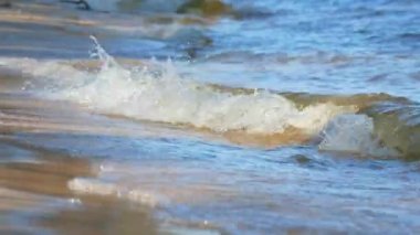 Nehrin dalgaları güneşte kumlu sahilde sörf yapıyor. Doğa manzarası. Su manzarası. Dnepr Nehri. Video.