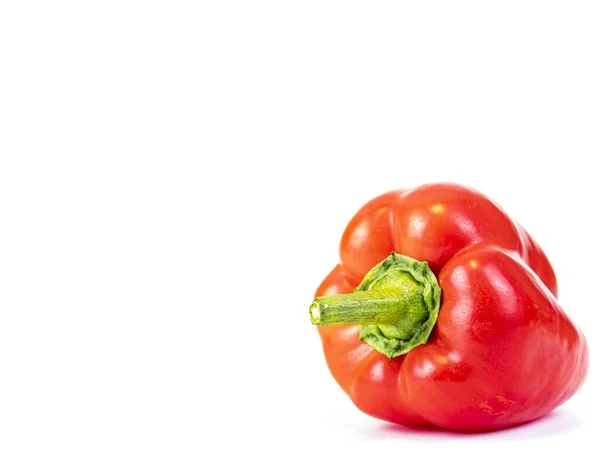 Fruit Vegetable Red Bell Pepper White Background Place Text Template — Stock Photo, Image