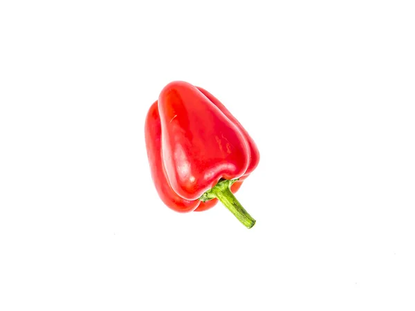 果蔬菜红钟椒在白底上 文字的位置 食物照片 展示的 背景图像 — 图库照片