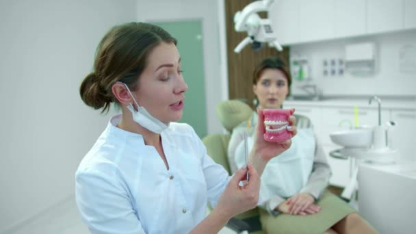 Le dentiste tient la mâchoire en main et donne des recommandations — Video