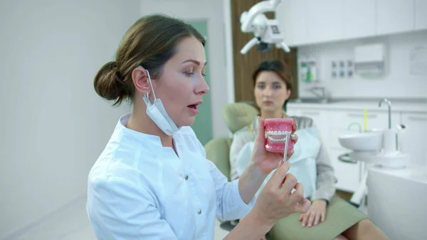 Le dentiste tient la mâchoire à la main et pointe les dents — Photo