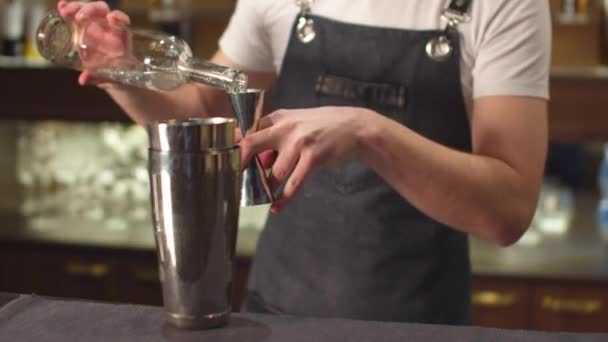 Barman giet verschillende alcohol in borrelglas en shaker — Stockvideo