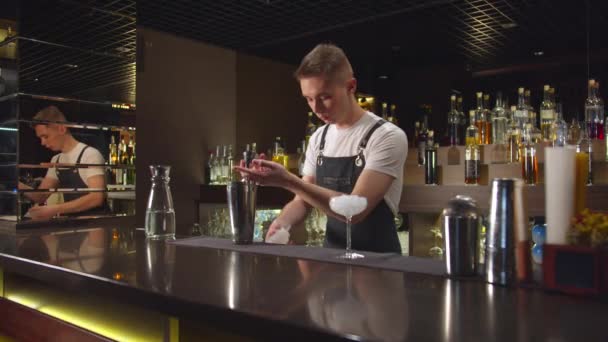 Bartendern häller alkohol i cocktailshaker och blandar det med is i baren — Stockvideo