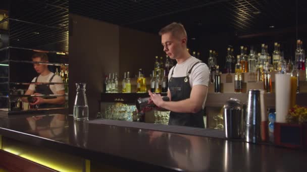 Slow motion, bartender plays with cocktail shakers at the bar — Stock Video