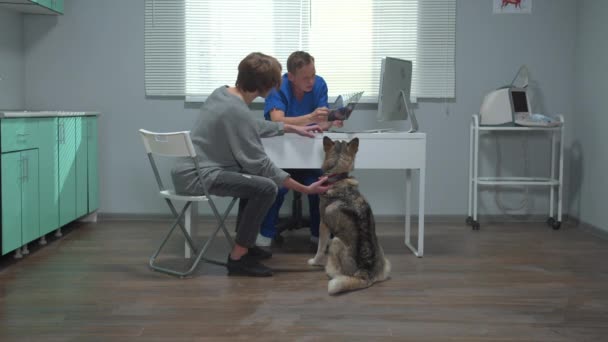 Homme assis avec husky dans le cabinet, vétérinaire explique rayons X de chien — Video