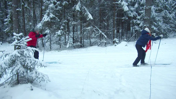 Skiers glide quickly on the track in the forest — Stock Photo, Image