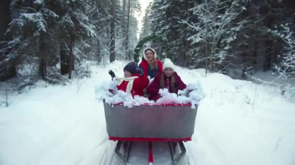 Family happily waving while riding a sleigh — Stock Video